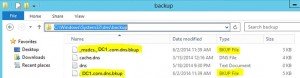 Backup DNS settings in Windows Server 2012 R2