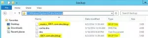 Backup DNS settings in Windows Server 2012 R2