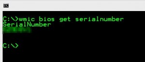 retrieve Dell Service Tag from DOS